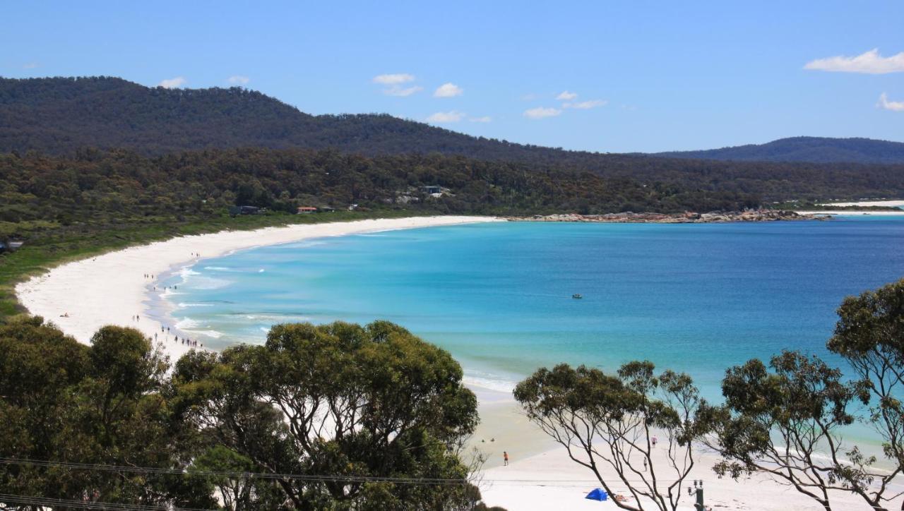 Sea Eagle Cottage Amazing Views Of Bay Of Fires Binalong Bay 外观 照片